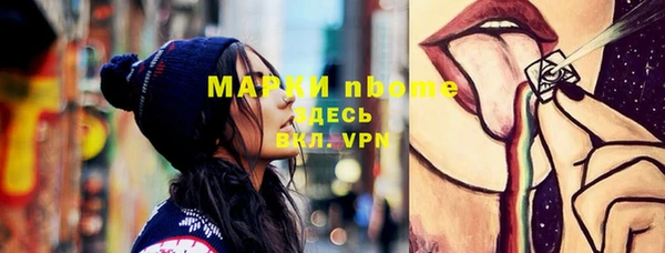 гидра Кинешма