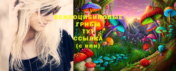 ALPHA PVP Киренск