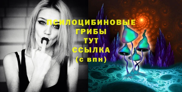 гидра Кинешма